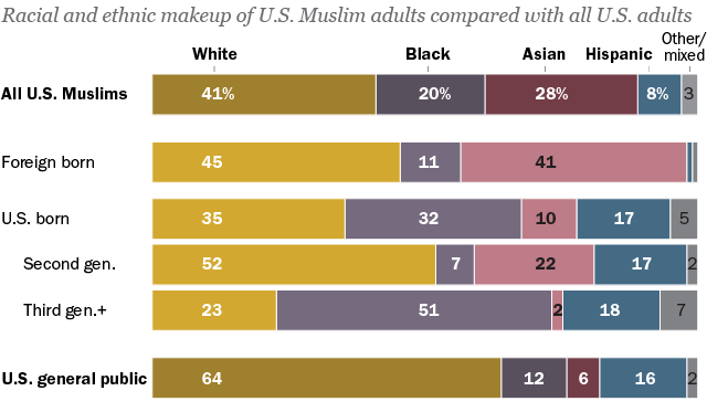 Muslims in America: Immigrants and Those Born in U.S. See Life Differently in Many Ways