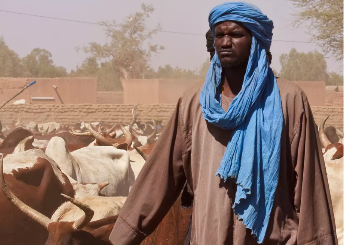 What’s behind Mali livestock herders joining jihadist groups