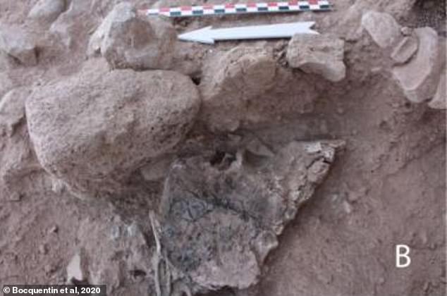 Oldest Known Cremation in The Middle East' is Revealed To Be a Young Adult Who Was Injured By a Flint Projectile Several Months Before Their Death in Israel 9,000 Years Ago